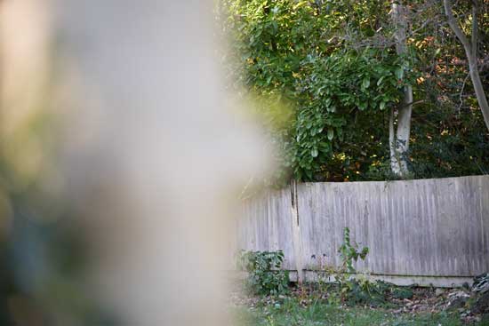 Viltrox AF 85mm F2.0 EVO